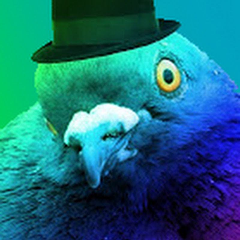 Adam115Pigeons