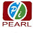 @pearlindiamarketingservice9688