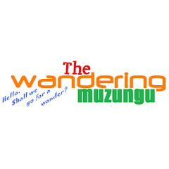 TheWanderingMuzungu net worth