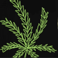 Tulare County Cop Watch net worth