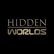 Hidden Worlds