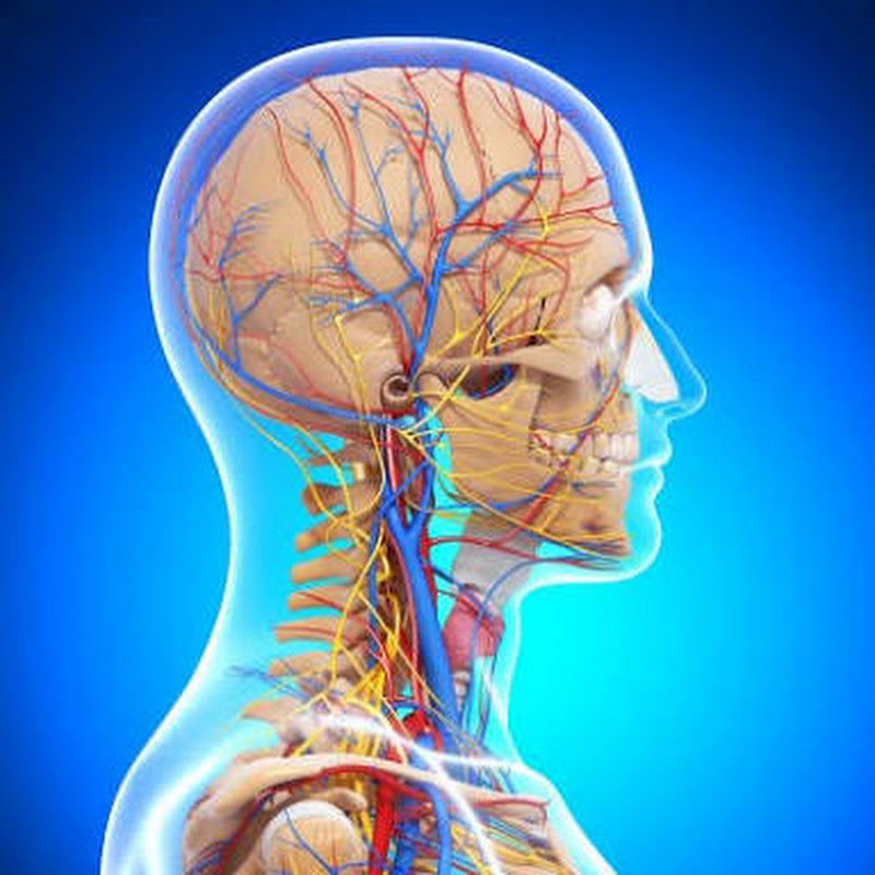 شعار قناة قناة علوم الطبيعة للأستاذة Amrani Gouta
