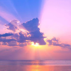 HighVibe Meditation net worth