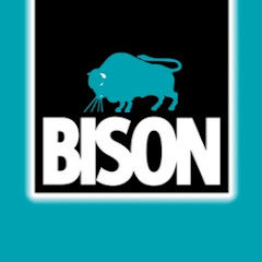 Bison International net worth