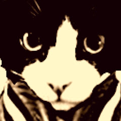 The random Cat