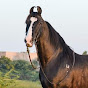 Great Marwari Horses Of Marwar logo