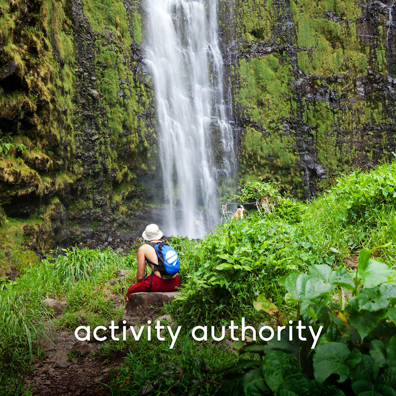 Activity Authority