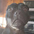@osh241's avatar