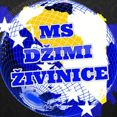 Muzički Studio Džimi Živinice Official channel logo