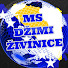 qWK-l-cgGz0-channel-avatar-Muzički Studio Džimi Živinice Official