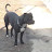 @jaison2751 Avatar