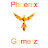 @phoenixgamerz8088