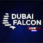 Dubai Falcon News #shorts logo