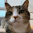 @김삼순-o2b7c