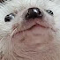 cxFlRgQlPqc-channel-avatar-puff puff