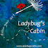 p8co83R0lAM-channel-avatar-Ladybugs Cabin