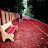 @indiankuttan401 Avatar