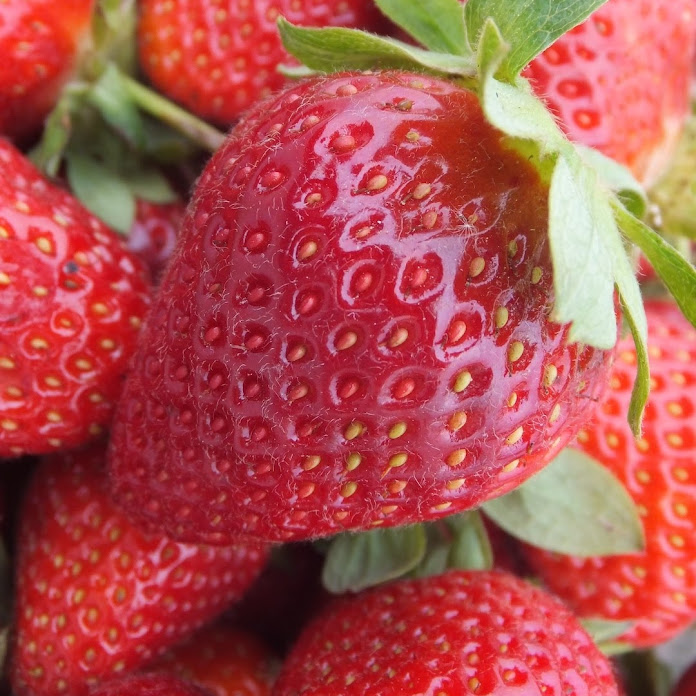 TheEngineeringFamily Net Worth & Earnings (2026)