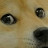 @doge1490