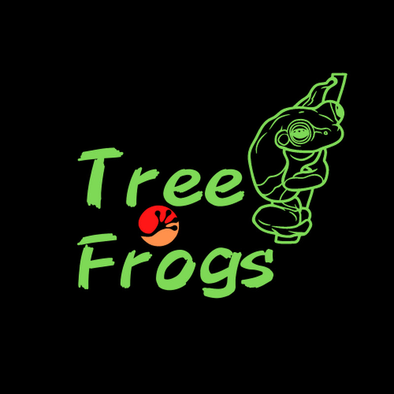 Tree Frog
