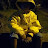 @ed9945's avatar
