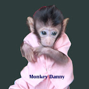 Monkey Danny