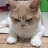 @universe_parallel.