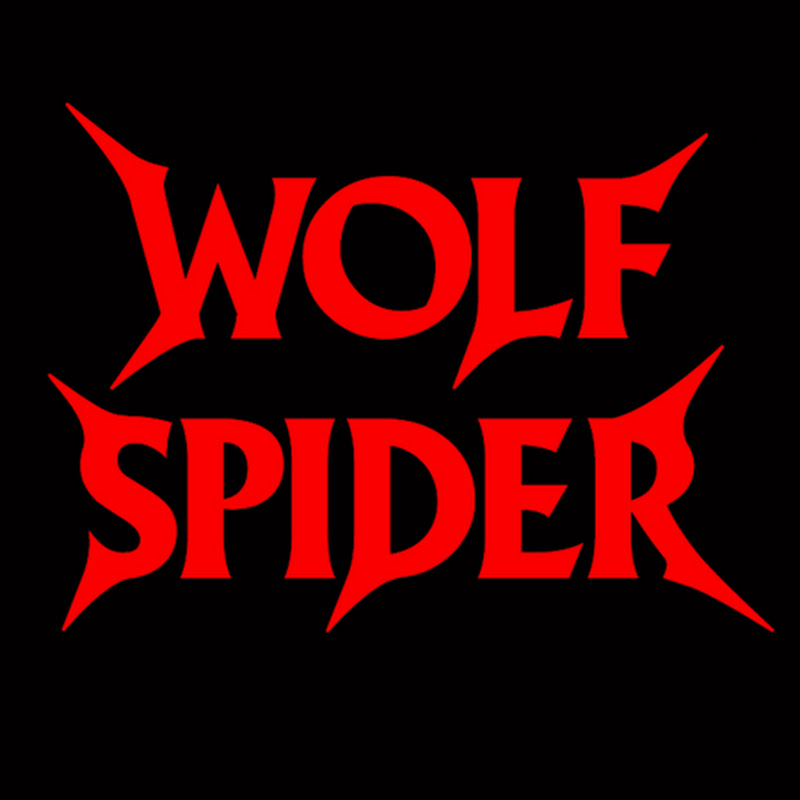 Wolf Spider / Wilczy Pająk (official)