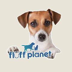 Fluff Planet Avatar