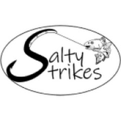 Salty Strikes net worth