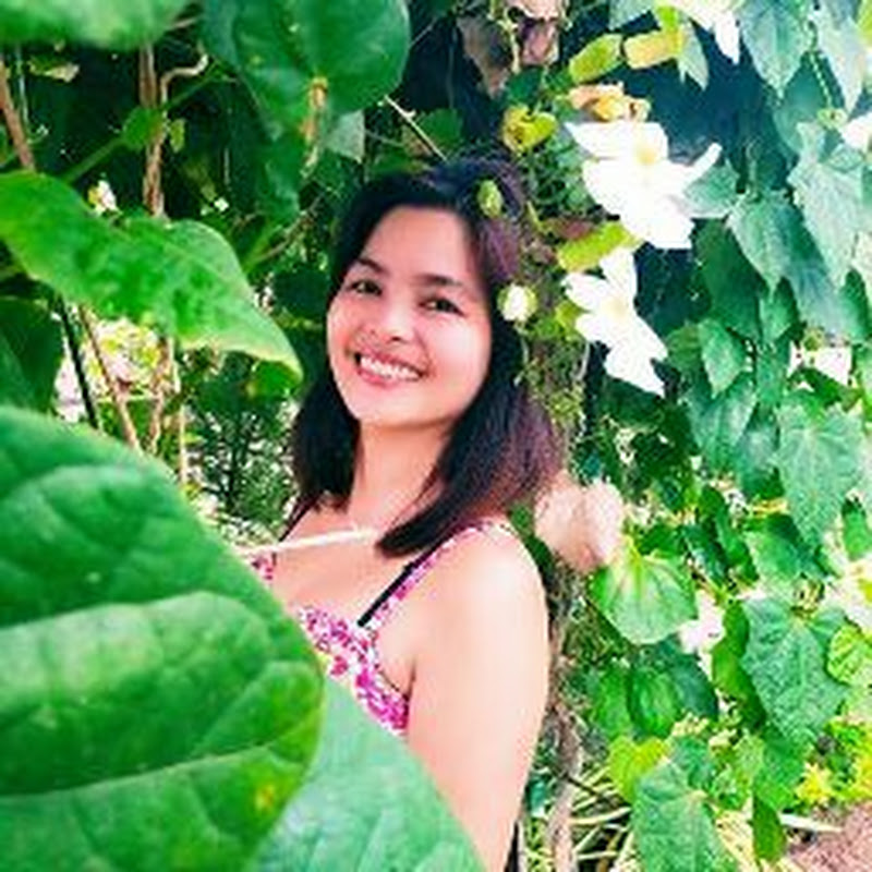 plantita lina
