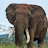@philjackman3734 Avatar