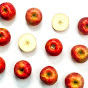 fruits fruits logo