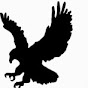 Birdland Studio