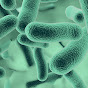 Klebsiella logo