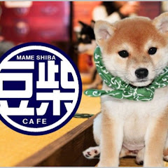 豆柴たうレトロGames