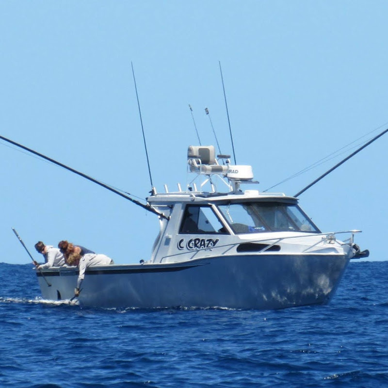 Profile Banner of C CRAZY Fishing Westcoast NZ