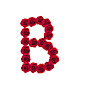 Bloom Crafts logo