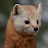 @user-cx9nn1ti8g