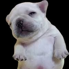 Drums in the key of W “Sticky Soap Cole”