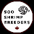 3RPN9eKLBZc-channel-avatar-Soo Shrimp Breeders