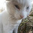 @drownedsoulinbound2286's avatar