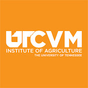 UT College of Veterinary Medicine