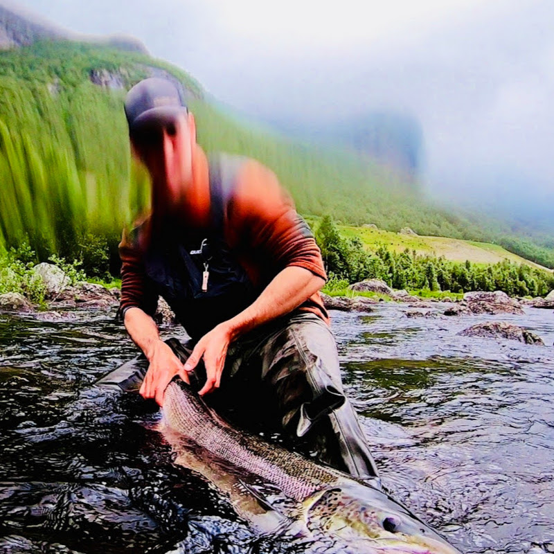 Salmonfishing Norway