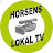 Horsens Lokal TV