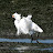 @jettysplash Avatar