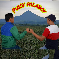 Pinoy Palaboy net worth