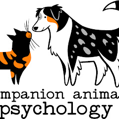 Companion Animal Psychology