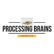 Processing Brains