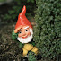 d92HEv-mnrE-channel-avatar-TheGnomeCity